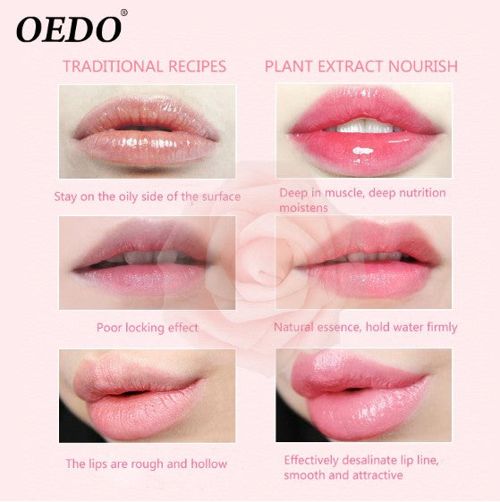 Rose Peptide Nourishing Colorful Lip Balm Anti Aging Antifreeze Anti-chapped Makeup Face Skin Care Repair Damage Lip Moist Cream